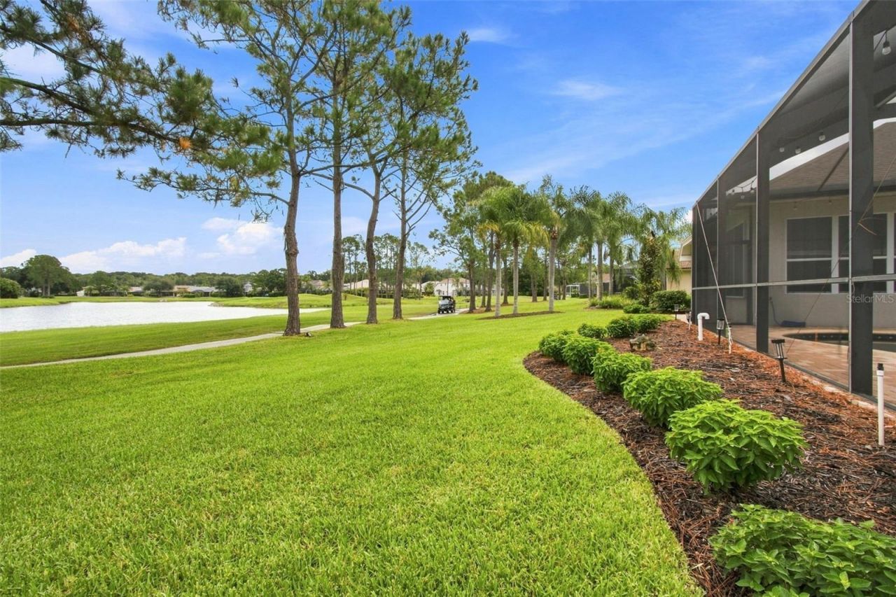 23610 Gracewood Circle, Land O Lakes, FL 34639 Photo