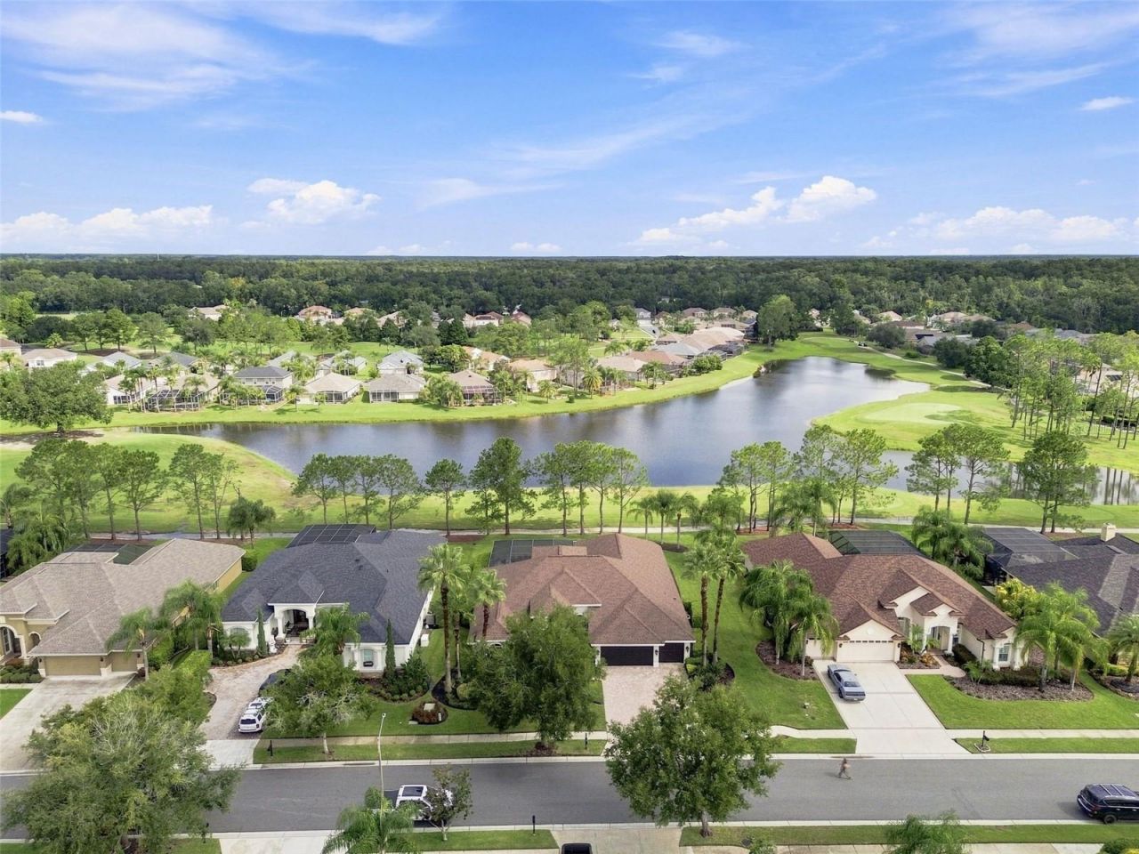 23610 Gracewood Circle, Land O Lakes, FL 34639 Photo