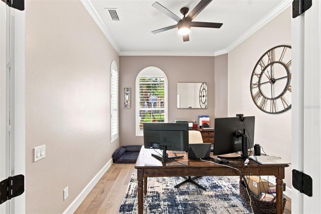 23610 Gracewood Circle, Land O Lakes, FL 34639 Photo