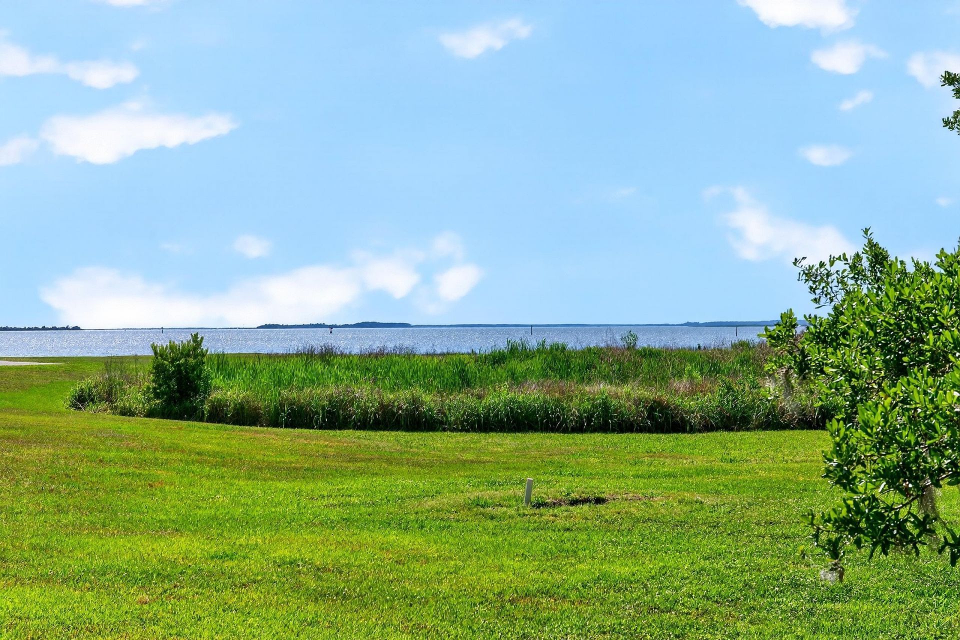 64 Bamboo Loop  Photo 42