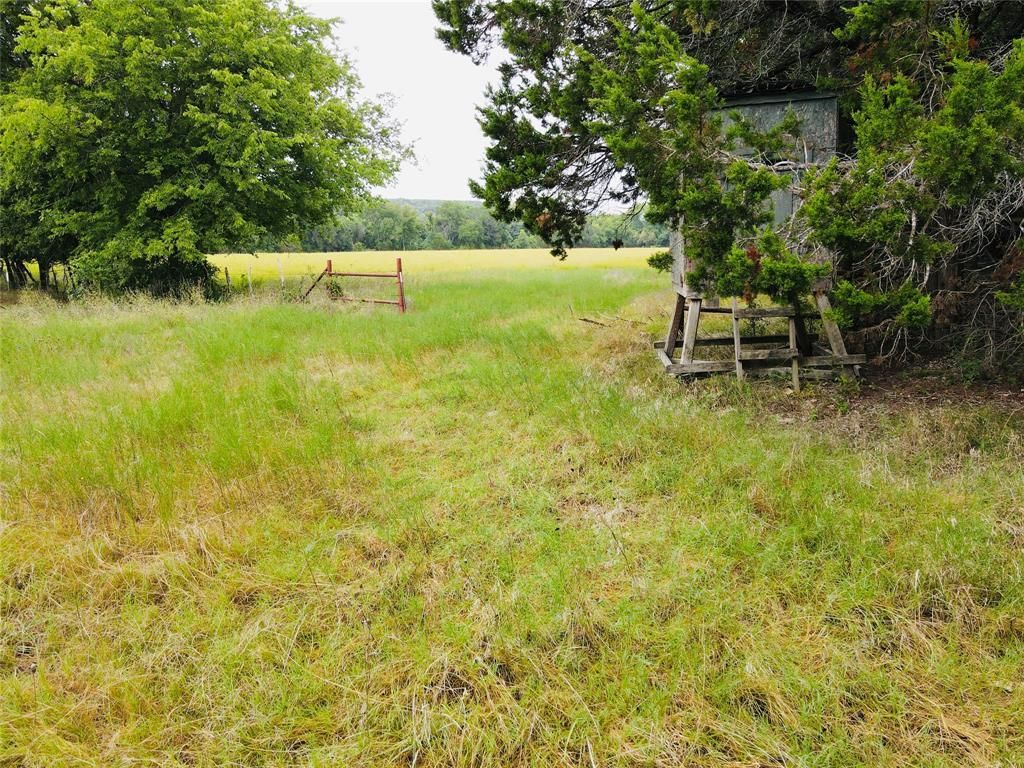 Tbd Fm 215 , Valley Mills, TX 76689 Main Photo