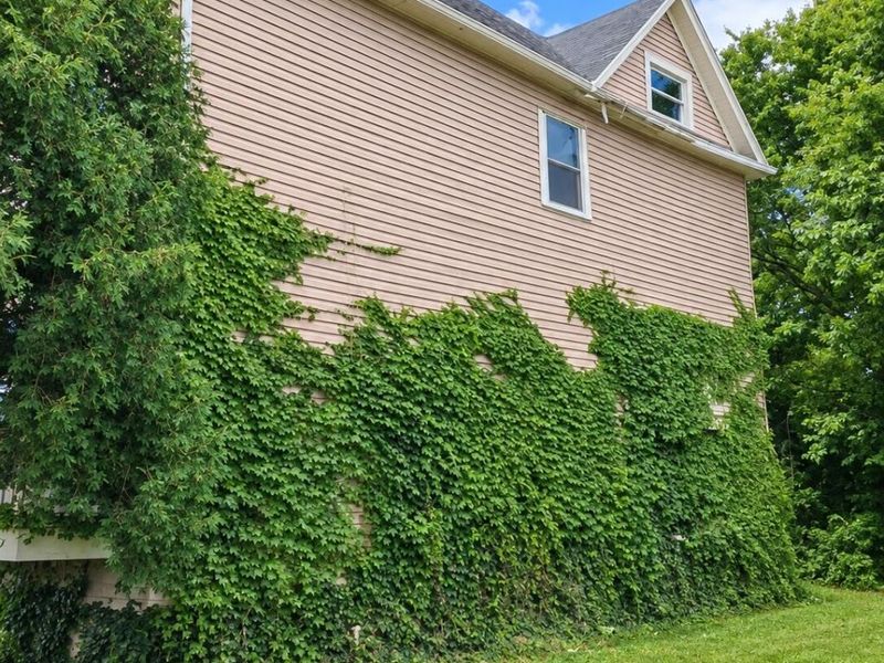 31 Pioneer Street, Dayton, OH 45405 Photo 3