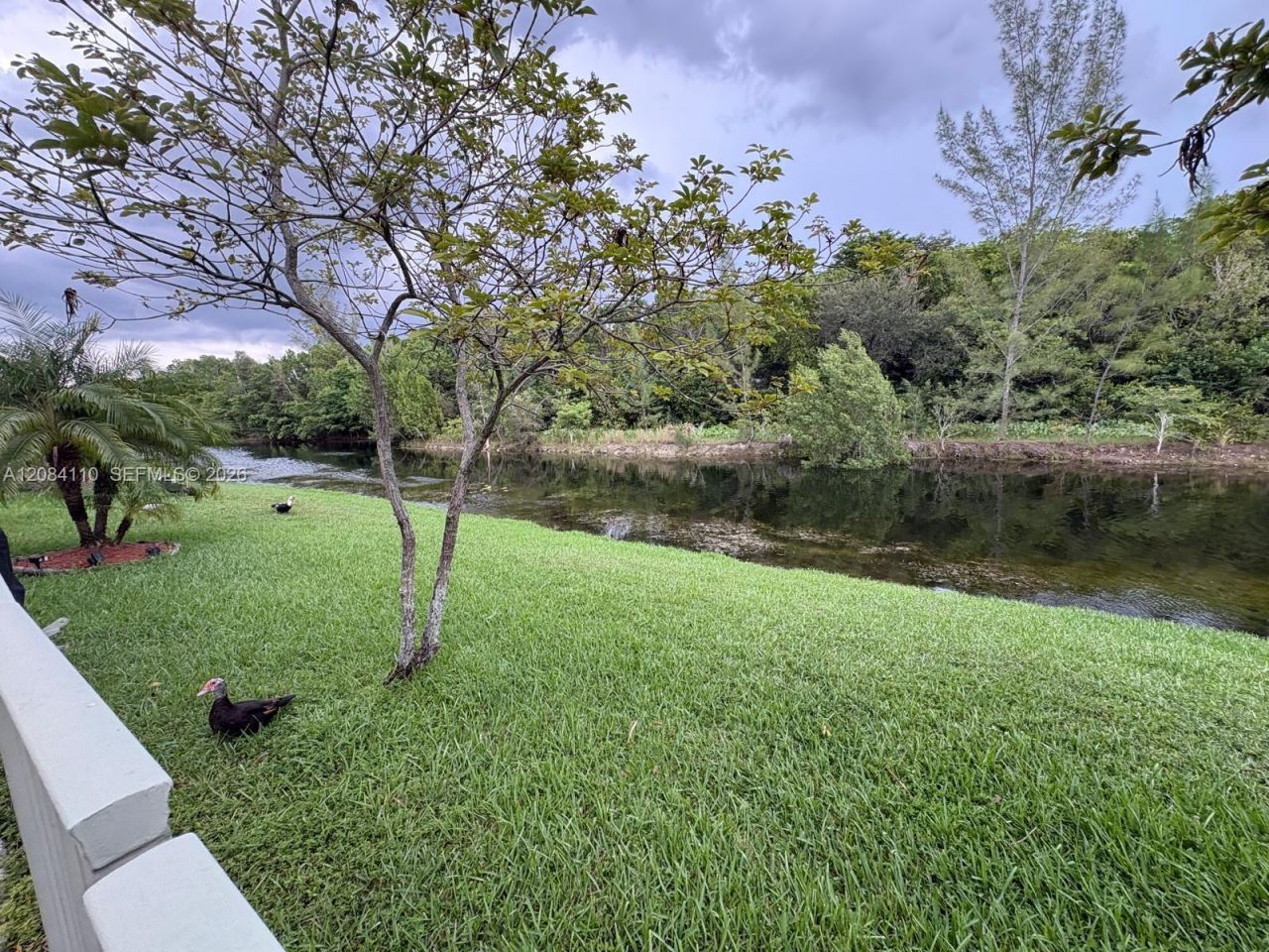 1037 SW 143rd Ave, Unit 1305, Pembroke Pines, FL 33027 Photo