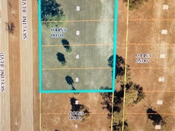 1119 Skyline BLVD , CAPE CORAL, FL 33991