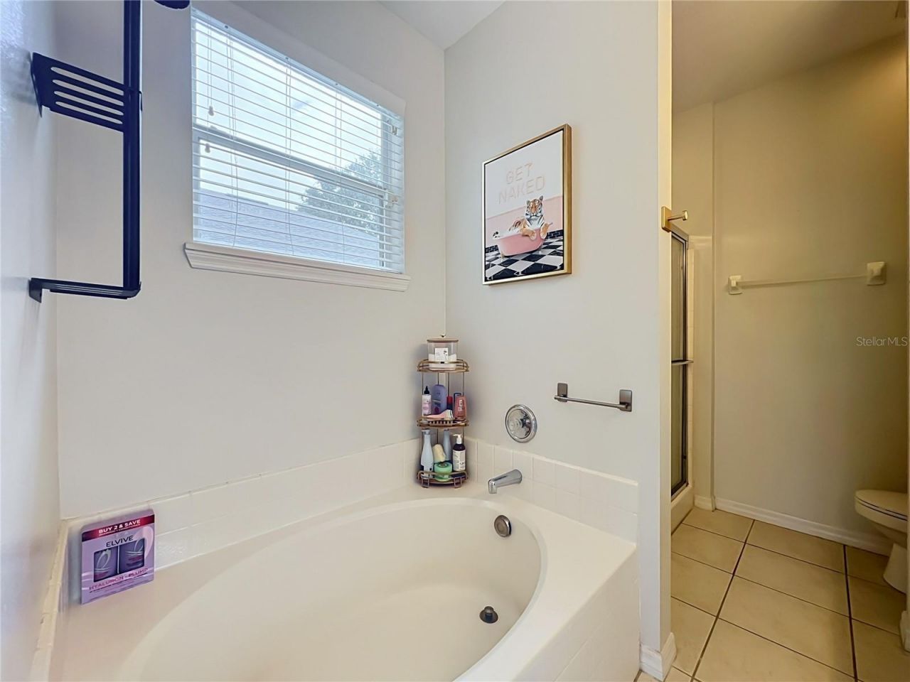 912 Magnolia Blossom Court , Apopka, FL 32712 Photo