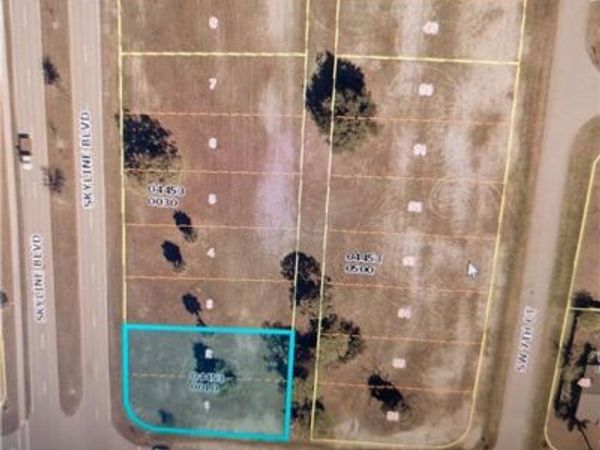 1125 Skyline BLVD , CAPE CORAL, FL 33991