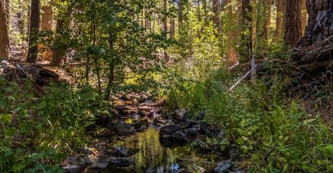 1750 Spring Creek Road, Unit 18, South Lake Tahoe, CA 96150 Photo