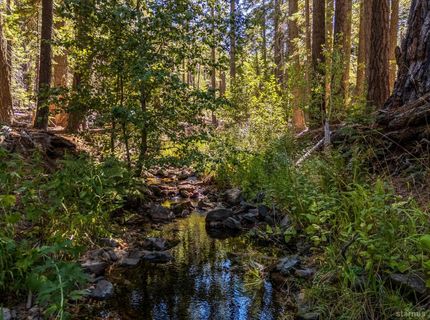 1750 Spring Creek Road, Unit 18, South Lake Tahoe, CA 96150 Photo