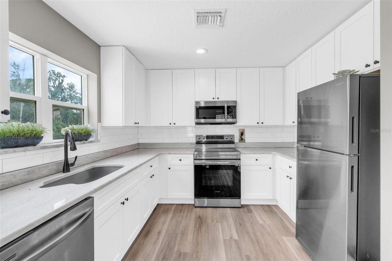507 Phyllis Circle, Eustis, FL 32726 Photo