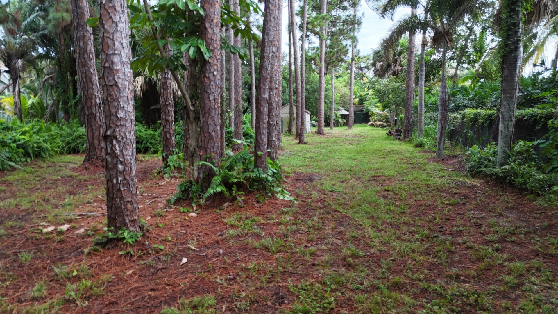 4786 Ridgewood Road E, Boynton Beach, FL 33436 Photo