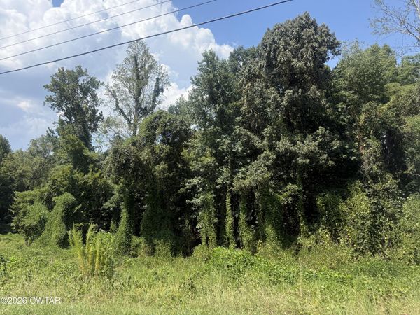 000 Blackberry Hill Circle , Lexington, TN 38351