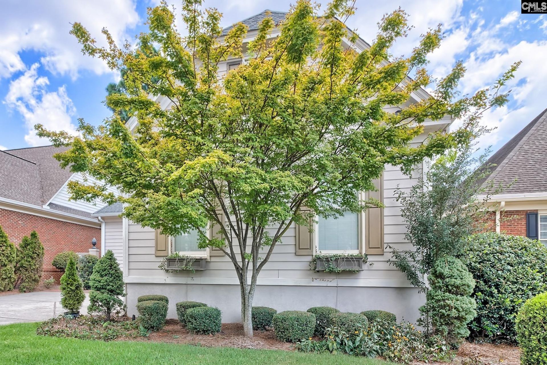 344 White Birch Circle  Photo 4