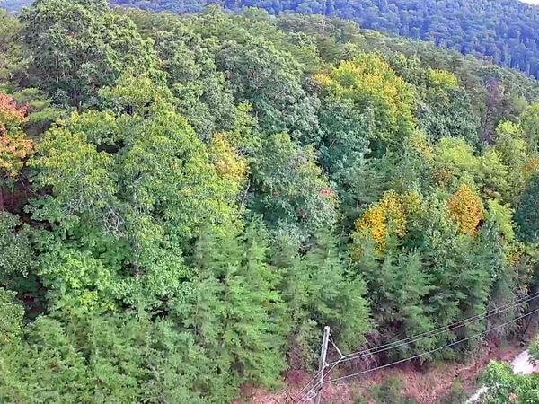 0 Peaceful Lane, Spencer, TN 38585