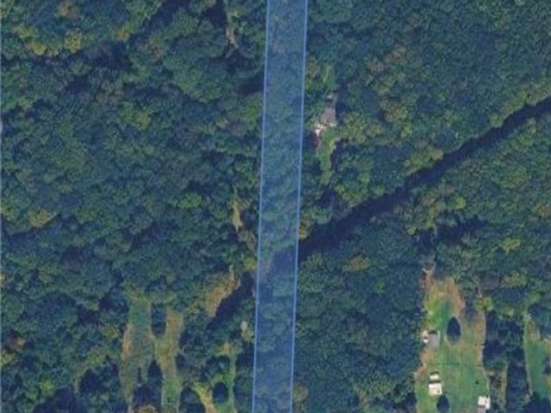 1739 E Turkeyfoot Lake Road, Akron, OH 44312 Photo 33