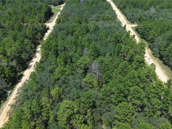 N/A Neilsen Ave , Interlachen, FL 32148