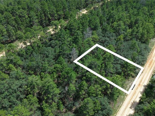 N/A Neilsen Ave , Interlachen, FL 32148
