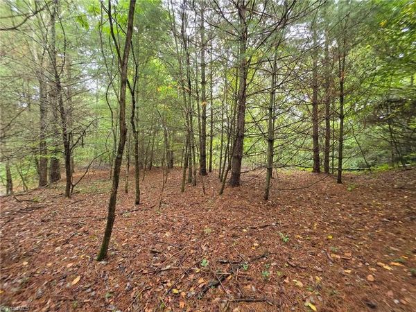 Lot 78 Green Meadows Drive, Todd, NC 28684
