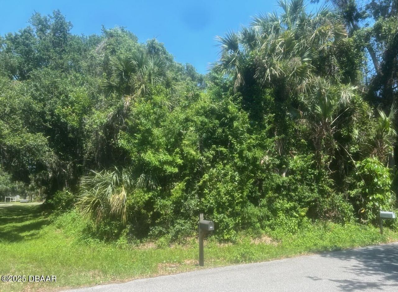 00 Orange Tree Drive, Edgewater, FL 32141 Photo