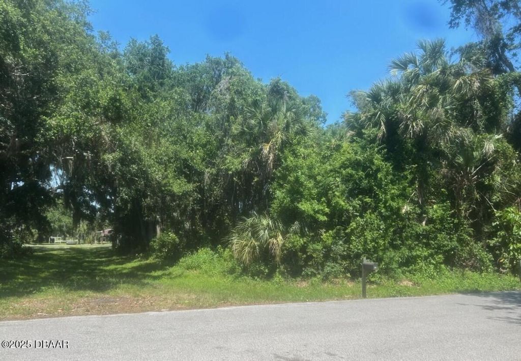 00 Orange Tree Drive, Edgewater, FL 32141 Photo