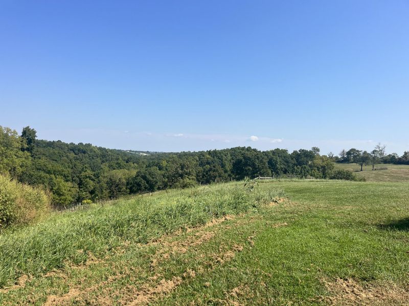 625 Falmouth Street, Williamstown, KY 41097 Photo 5