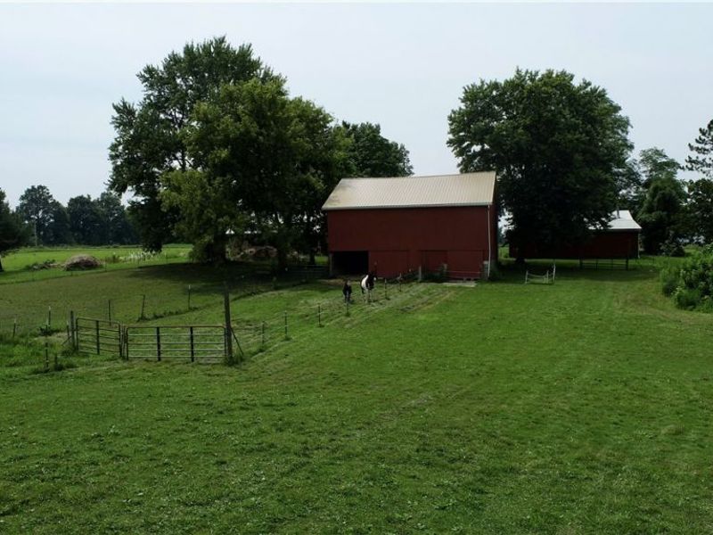 28099 State Route 58, Sullivan, OH 44880 Photo 25