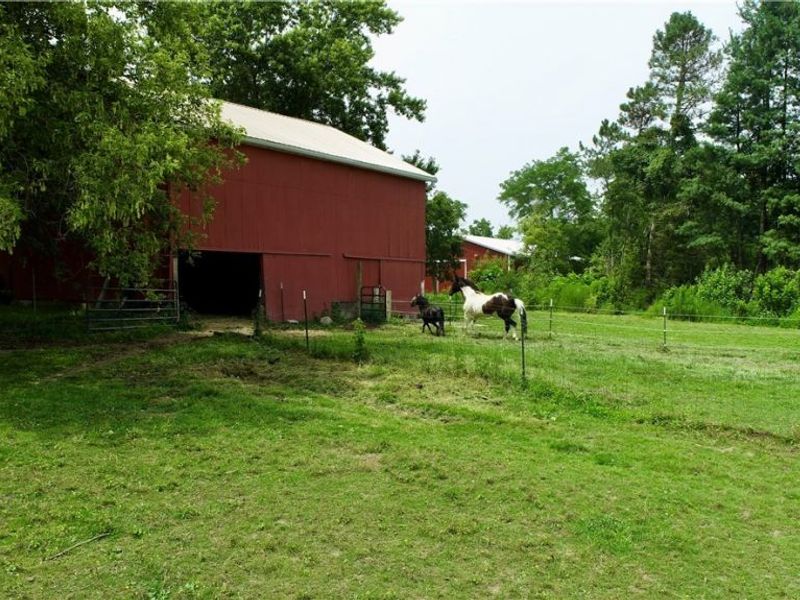28099 State Route 58, Sullivan, OH 44880 Photo 26