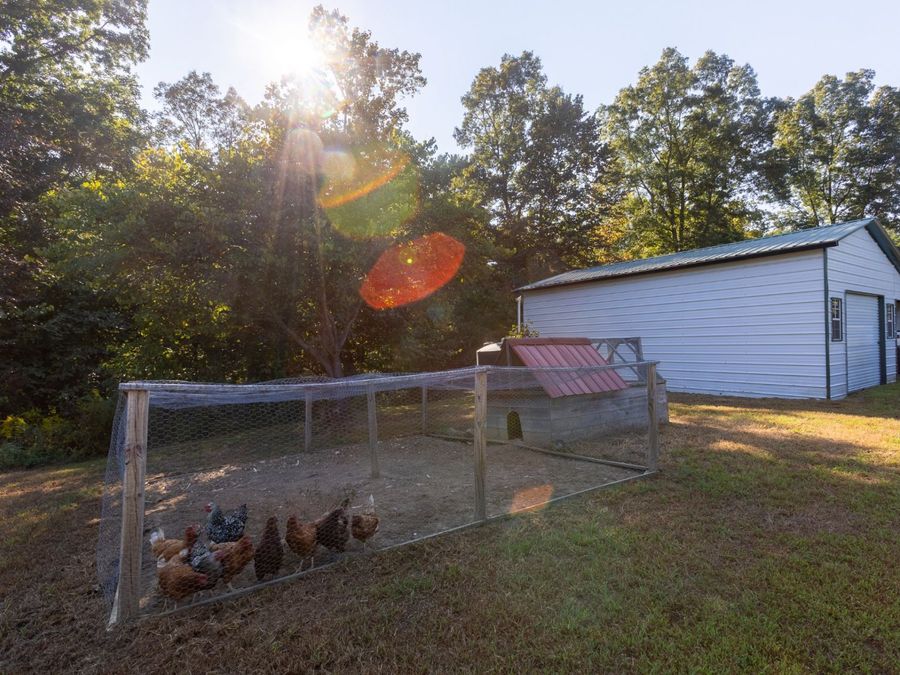 Property Image 38