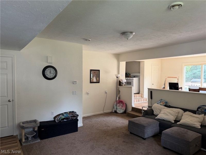 4421 Meadowbrook Drive, Leavittsburg, OH 44430 Photo 7