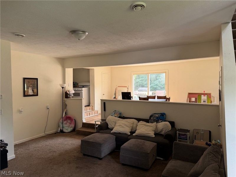 4421 Meadowbrook Drive, Leavittsburg, OH 44430 Photo 8