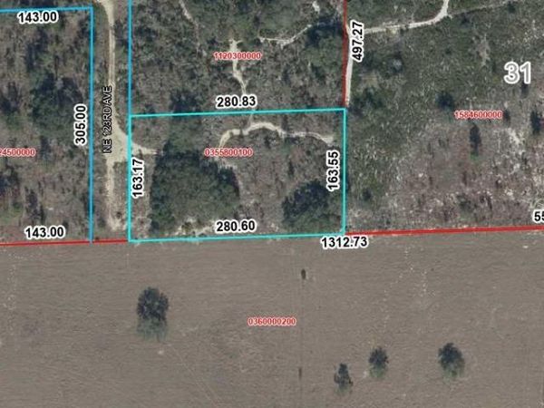 TBD NE 123RD AVE , WILLISTON, FL 32696