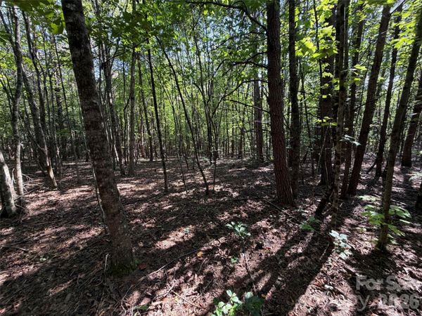 472 Southern Way , Nebo, NC 28761