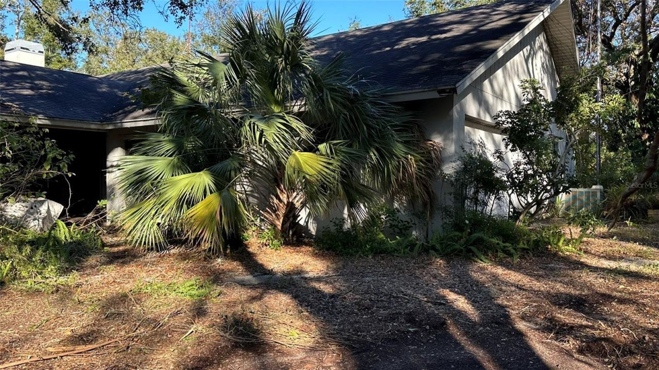 1676 Hermosa Drive , Palm Harbor, FL 34683 Photo