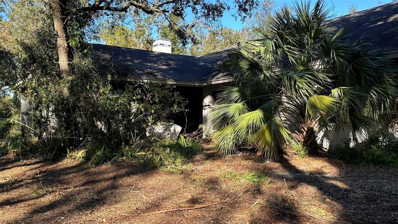 1676 Hermosa Drive , Palm Harbor, FL 34683 Photo