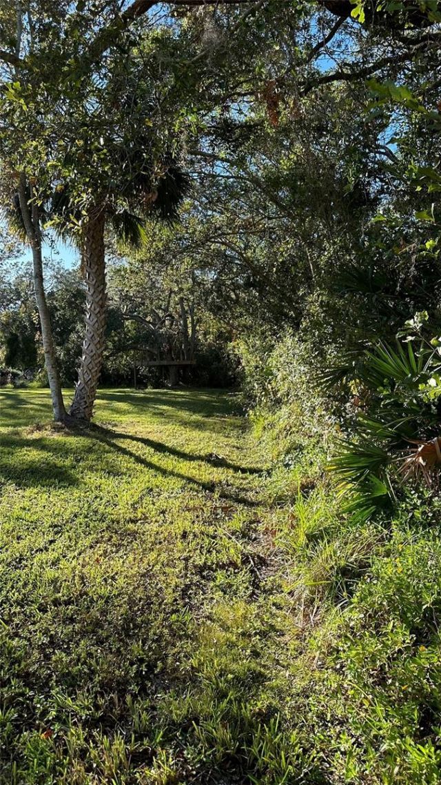 1676 Hermosa Drive , Palm Harbor, FL 34683 Photo