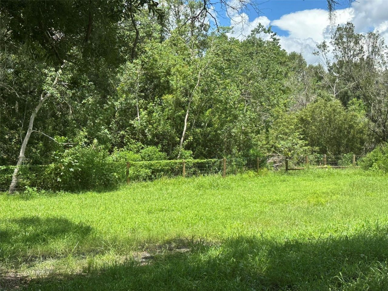 1676 Hermosa Drive , Palm Harbor, FL 34683 Photo