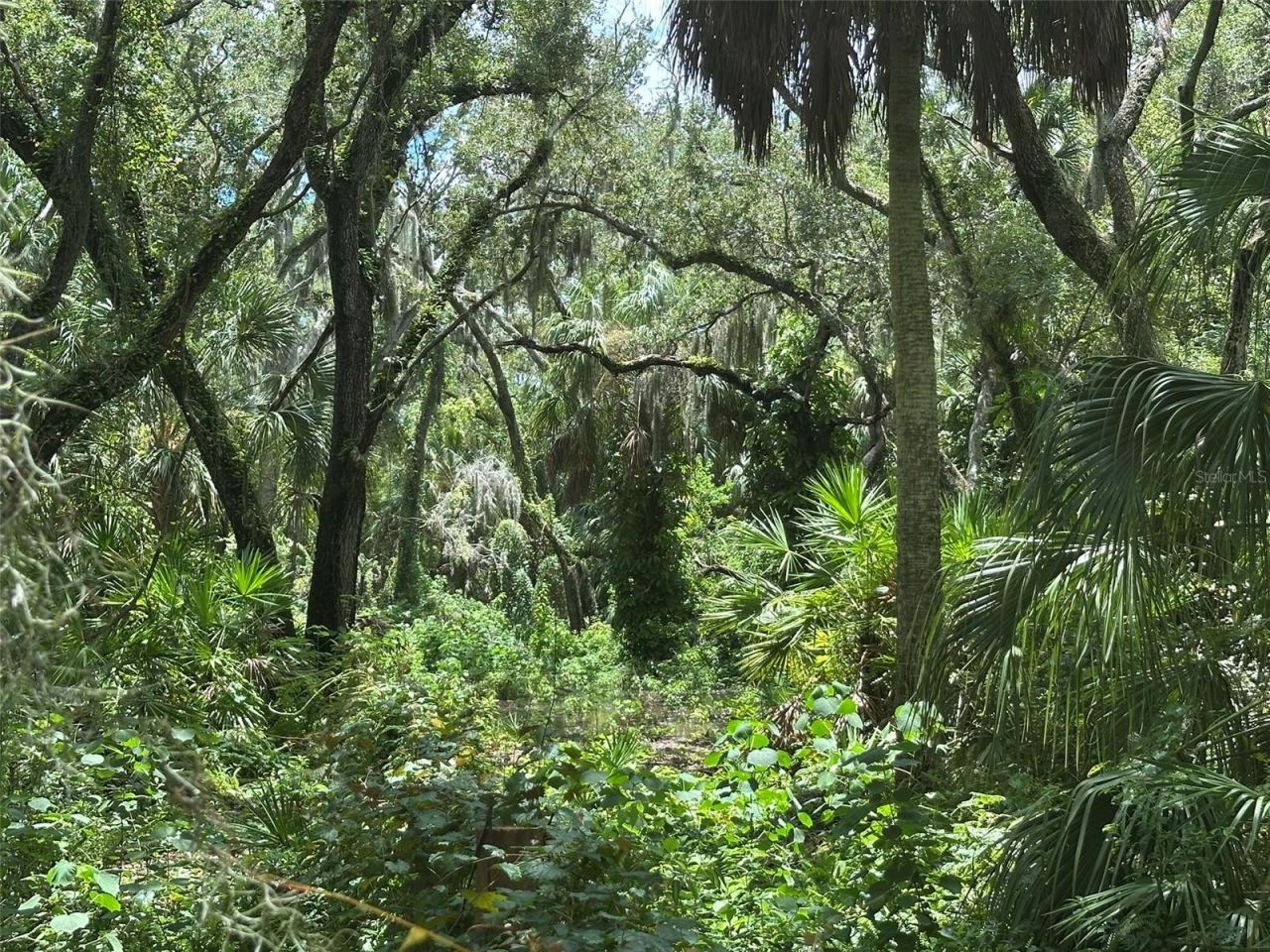1676 Hermosa Drive , Palm Harbor, FL 34683 Photo
