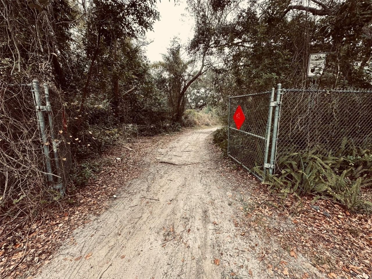 1676 Hermosa Drive , Palm Harbor, FL 34683 Photo