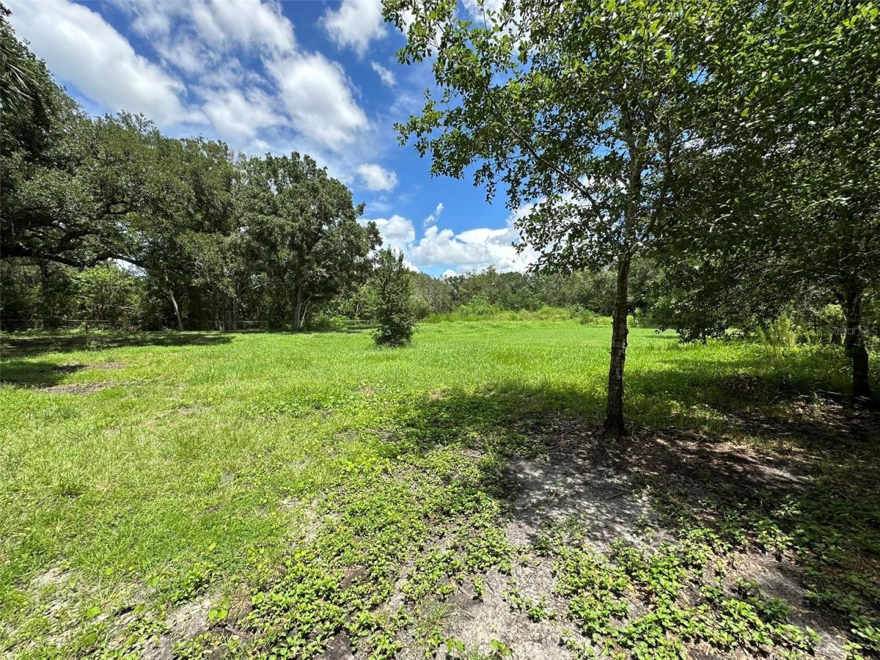 1676 Hermosa Drive , Palm Harbor, FL 34683 Photo