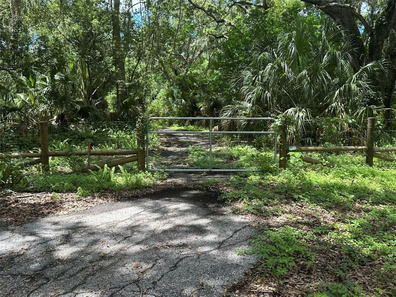 1676 Hermosa Drive , Palm Harbor, FL 34683 Photo