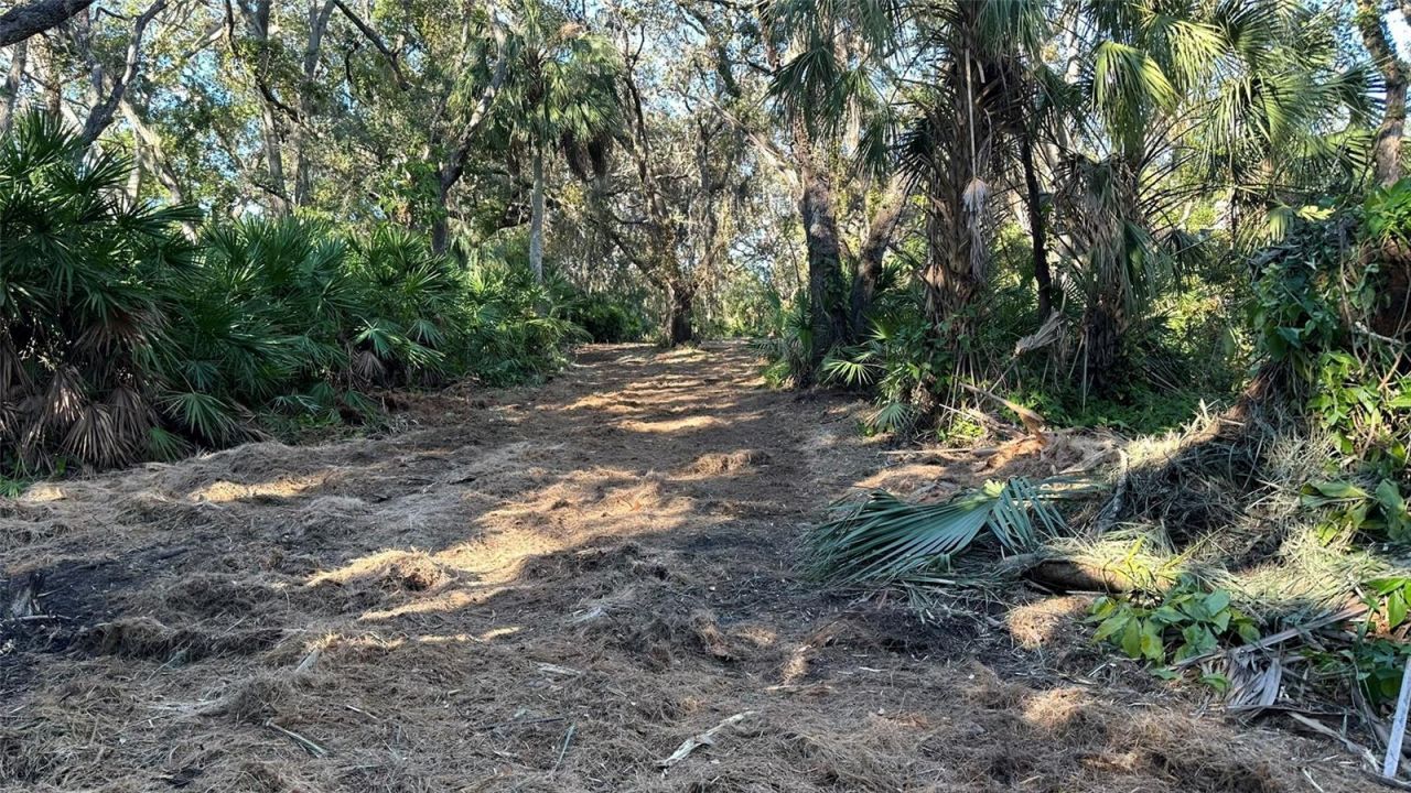 1676 Hermosa Drive , Palm Harbor, FL 34683 Photo