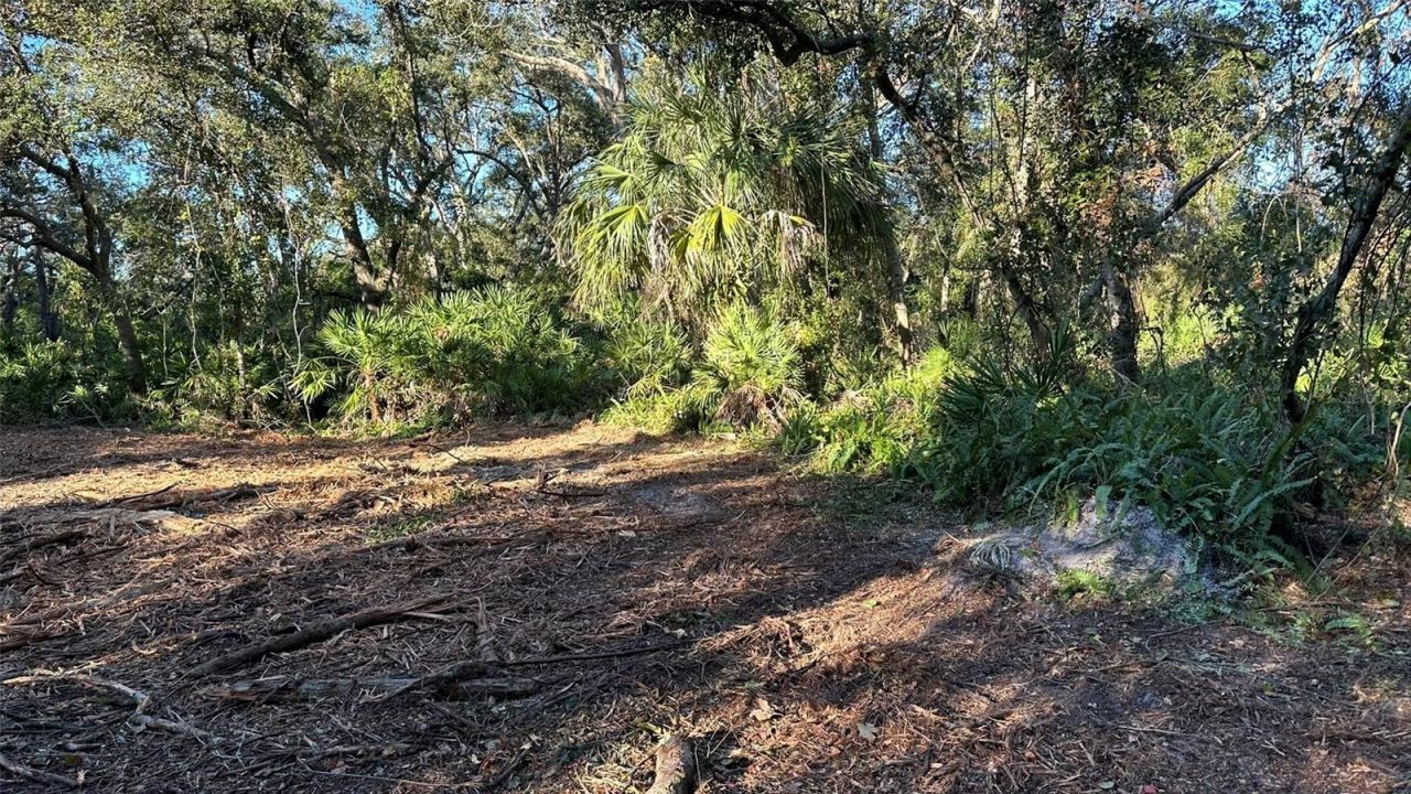 1676 Hermosa Drive , Palm Harbor, FL 34683 Photo