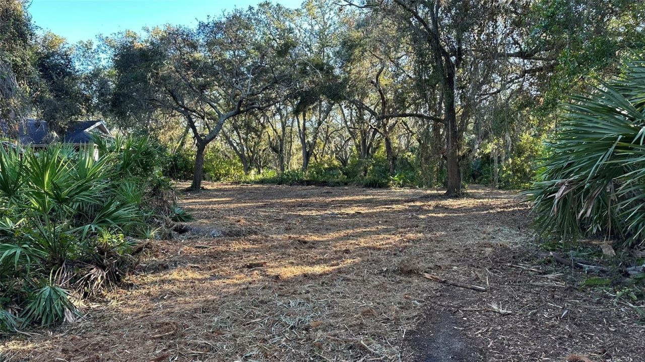 1676 Hermosa Drive , Palm Harbor, FL 34683 Photo