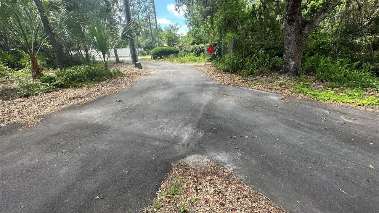 1676 Hermosa Drive , Palm Harbor, FL 34683 Photo