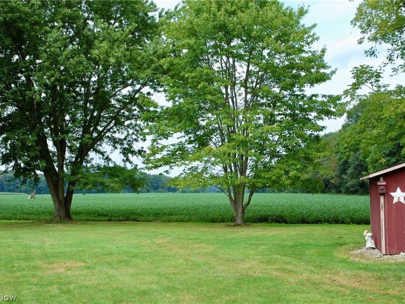 4992 Doylestown Road , Creston, OH 44217 Photo 28