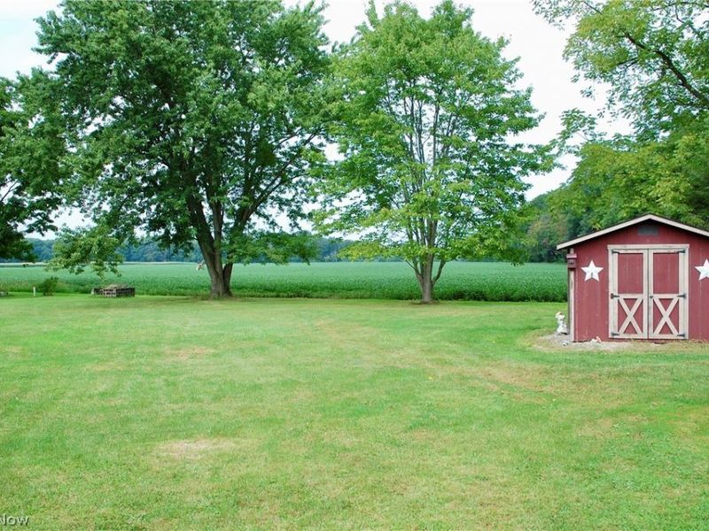 4992 Doylestown Road , Creston, OH 44217 Photo 6
