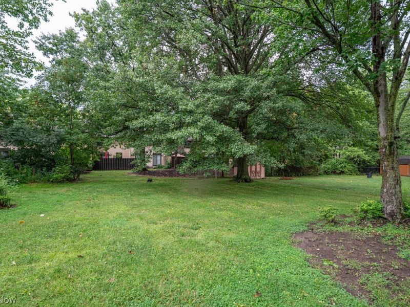 492 Jeannette Drive, Richmond Heights, OH 44143 Photo 38