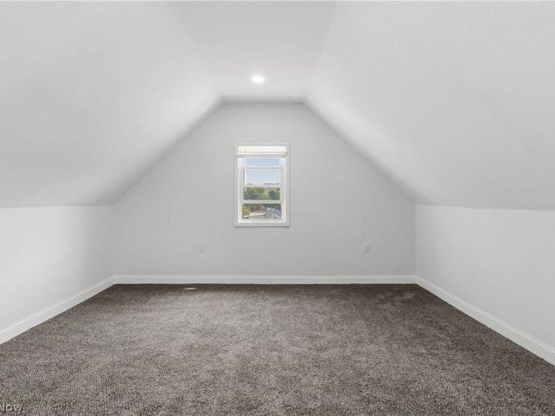 11918 Lena Avenue, Cleveland, OH 44135 Photo 41