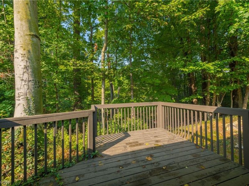 18 Hidden Valley, Rocky River, OH 44116 Photo 37