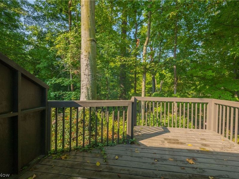 18 Hidden Valley, Rocky River, OH 44116 Photo 38