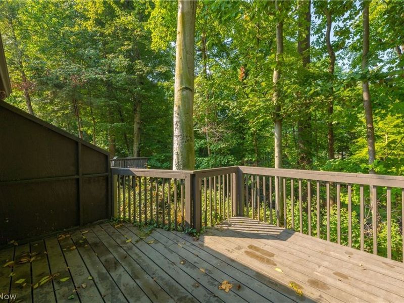 18 Hidden Valley, Rocky River, OH 44116 Photo 39